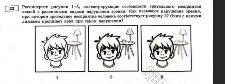 Рассмотрите рисунки 1-3, иллюстрирующие особенности зрительного восприятия людей с различными видами нарушения зрения.