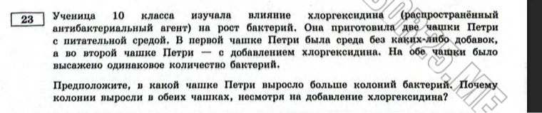 Ученица 10 класса изучала влияние хлоргексидина (распространённый антибактериальный агент) на рост бактерий. Она приготовила две чашки Петри с питательной средой. В первой чашке Петри была среда без каких-либо добавок, а во второй чашке Петри — с добавлением хлоргексидина. На обе чашки было высажено одинаковое количество бактерий. Предположите, в какой чашке Петри выросло больше колоний бактерий. Почему колонии выросли в обеих чашках, несмотря на добавление хлоргексидина?