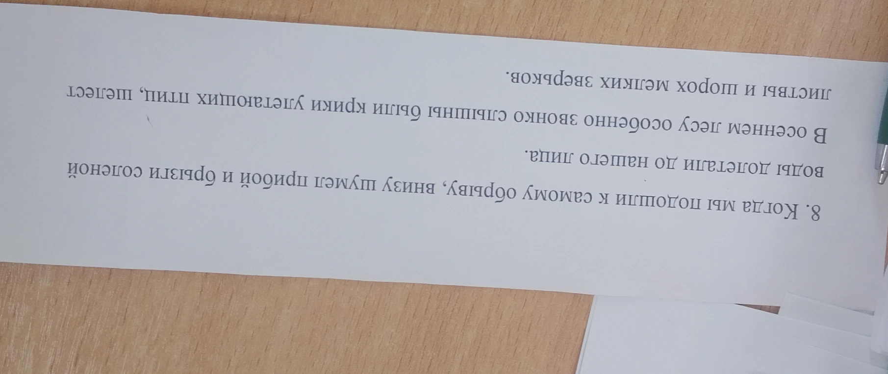 8. Когда мы подошли к самому обрыву, внизу шумел прибой и брызги соленой воды долетали до нашего лица.