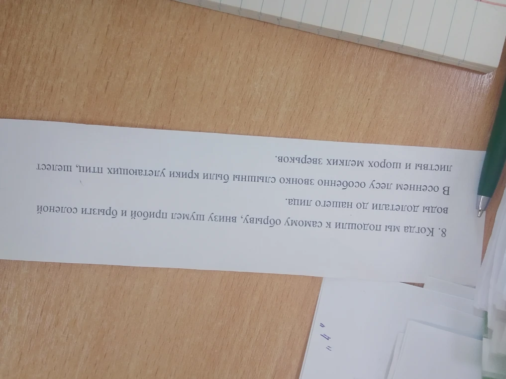 8. Когда мы подошли к самому обрыву, внизу шумел прибой и брызги соленой воды долетали до нашего лица.