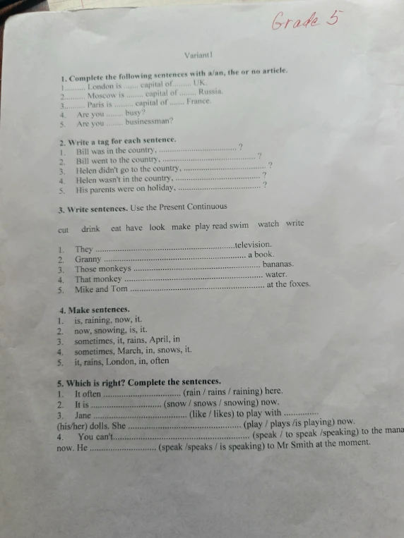 Complete the following sentences with a/an, the or no article.