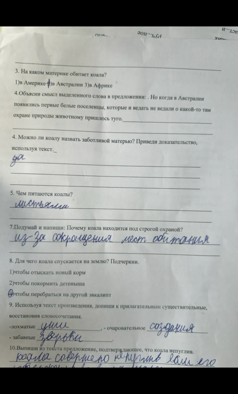 3. На каком материке обитает коала?