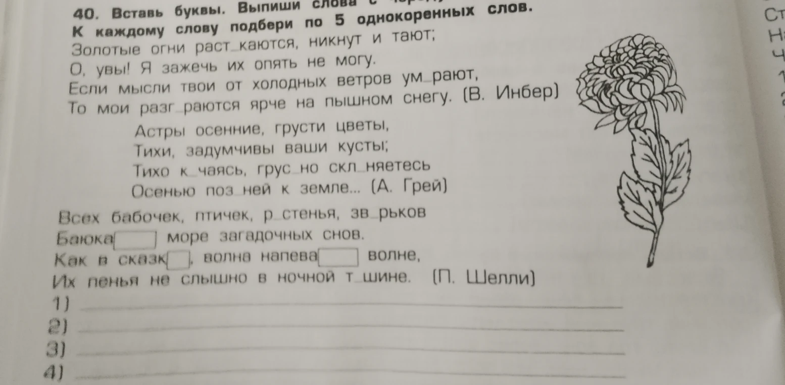 40. Вставь буквы. Выпиши слова с чередующимися гласными в корне. К каждому слову подбери по 5 однокоренных слов.