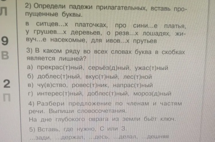 Определи падежи прилагательных, вставь пропущенные буквы.