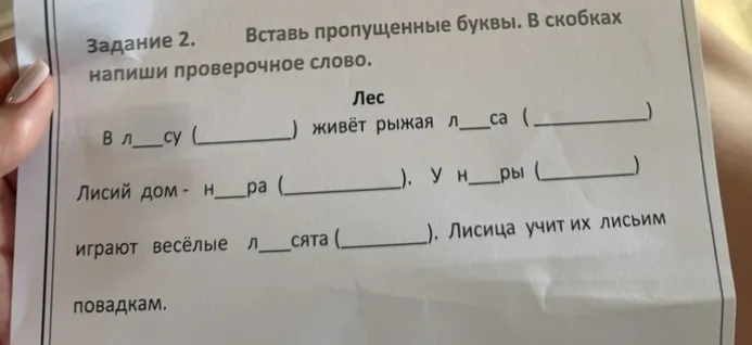 Вставь пропущенные буквы. В скобках напиши проверочное слово.