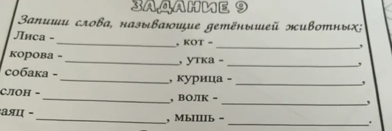 Запиши слова, называющие детёнышей животных: Лиса -, кот -, корова -, утка -, собака -, курица -, слон -, волк -, заяц -, мышь -.