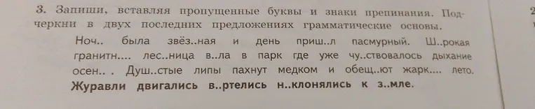 3. Запиши, вставляя пропущенные буквы и знаки препинания. Подчеркни в двух последних предложениях грамматические основы.