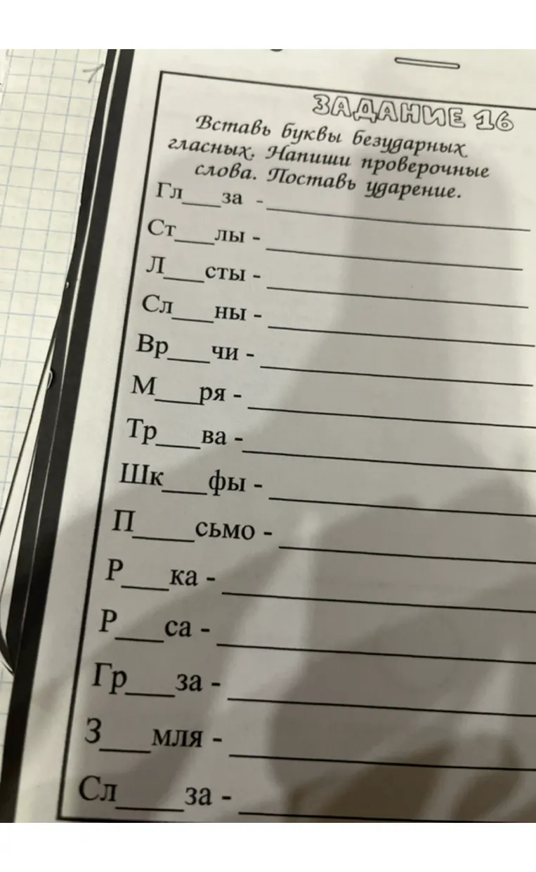 Вставь буквы безударных гласных. Напиши проверочные слова. Поставь ударение.