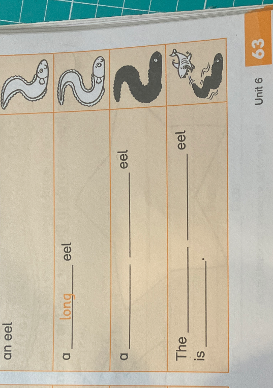 an eel a long eel a eel eel The is eel