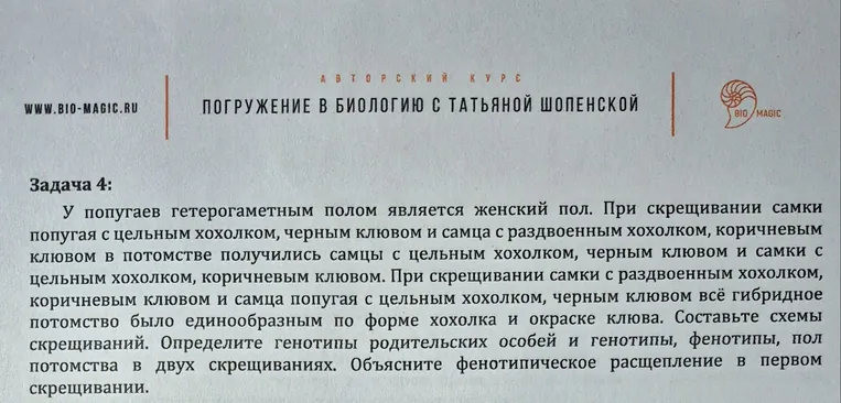 У попугаев гетерогаметным полом является женский пол. При скрещивании самки попугая с цельным хохолком, черным клювом и самца с раздвоенным хохолком, коричневым клювом в потомстве получились самцы с цельным хохолком, черным клювом и самки с цельным хохолком, коричневым клювом.