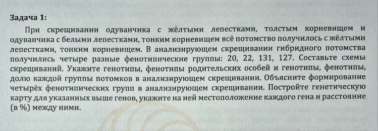 Задача 1: При скрещивании одуванчика с жёлтыми лепестками, толстым корневищем и одуванчика с белыми лепестками, тонким корневищем всё потомство получилось с жёлтыми лепестками, тонким корневищем.