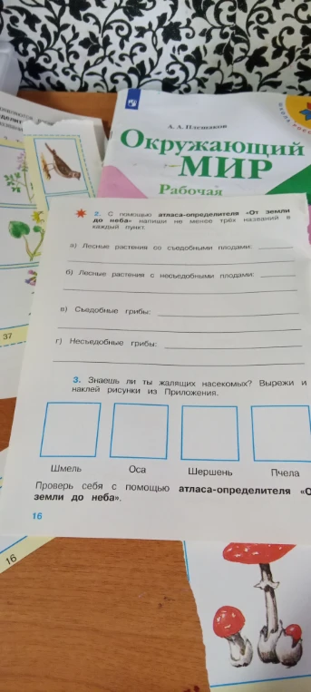 С помощью атласа-определителя «От земли до неба» напиши не менее трёх названий в каждый пункт.