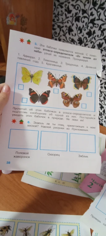 5. Эти бабочки появляются весной. С помощью атласа-определителя «От земли до неба» узнай их названия. Пронумеруй.