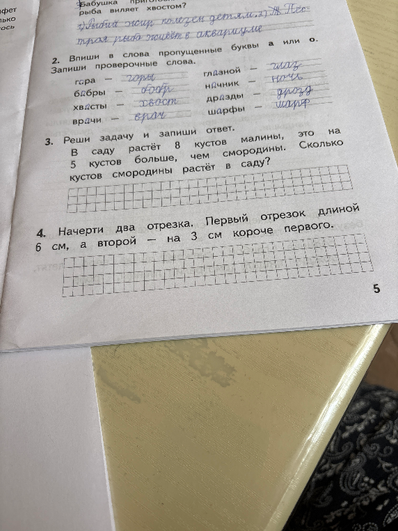 В саду растёт 8 кустов малины, это на 5 кустов больше, чем смородины. Сколько кустов смородины растёт в саду?