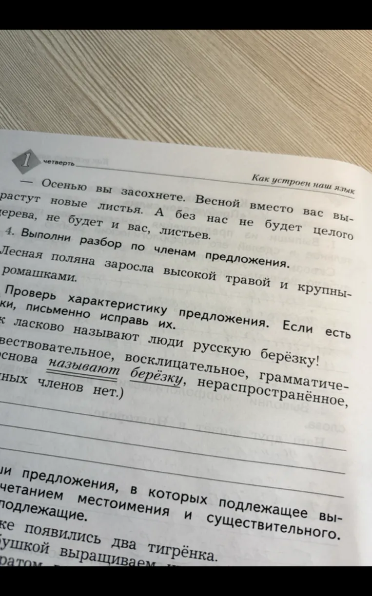 Выполни разбор по членам предложения. Лесная поляна заросла высокой травой и крупными ромашками.
