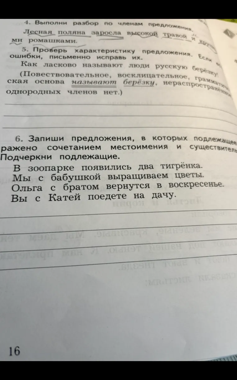 4. Выполни разбор по членам предложения. Лесная поляна заросла высокой травой и крупными ромашками.