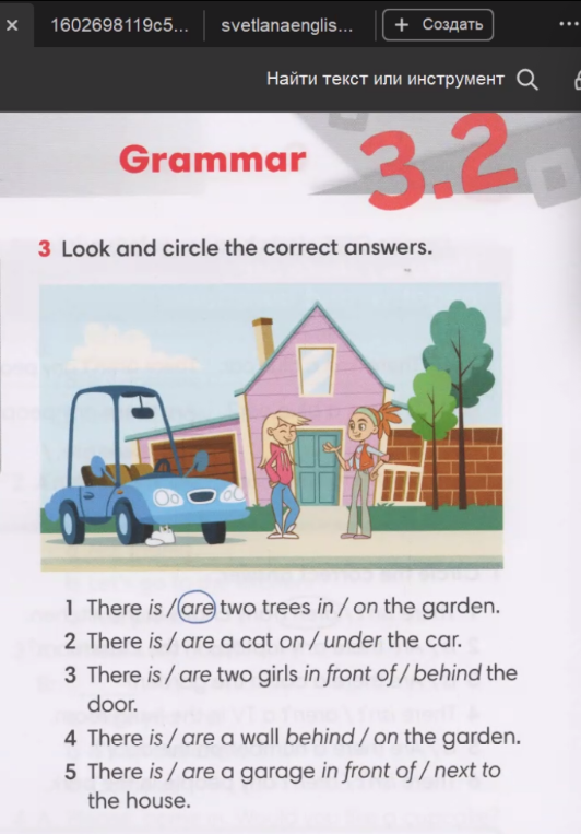 Look and circle the correct answers.