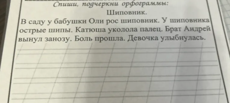 Спиши, подчеркни орфограммы: Шиповник. В саду у бабушки Оли рос шиповник.