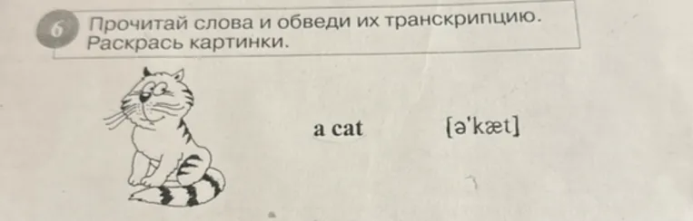 Прочитай слова и обведи их транскрипцию. Раскрась картинки.