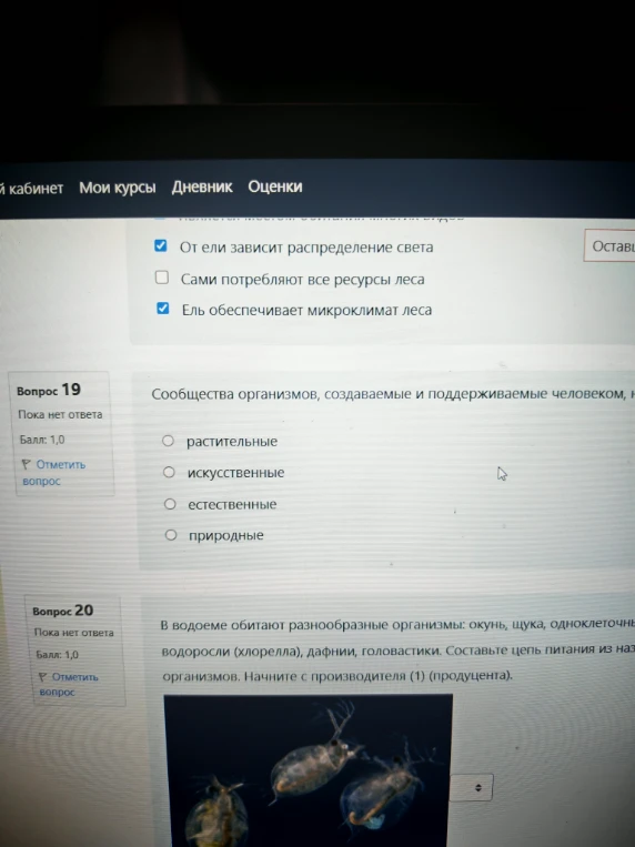 Сообщества организмов, создаваемые и поддерживаемые человеком, н...