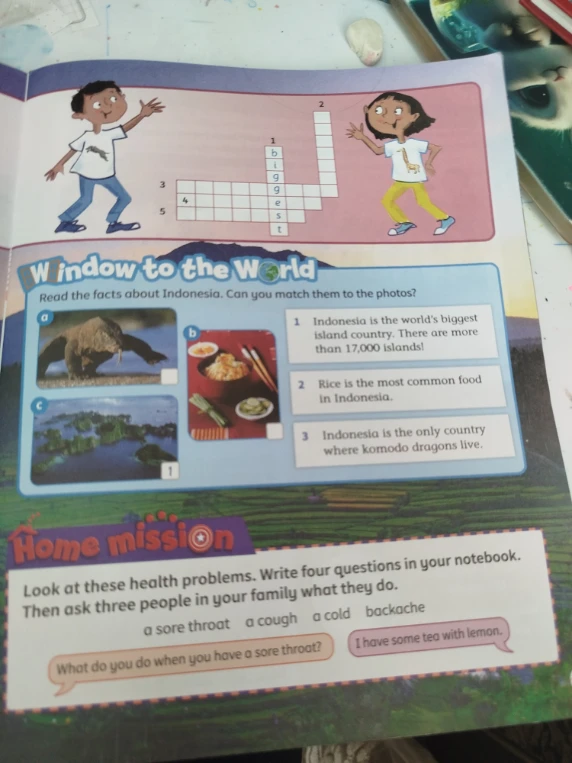 Read the facts about Indonesia. Can you match them to the photos?