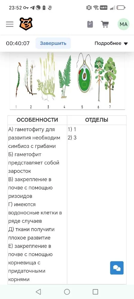 А) гаметофиту для развития необходим симбиоз с грибами Б) гаметофит представляет собой заросток В) закрепление в почве с помощью ризоидов Г) имеются водоносные клетки в ряде случаев Д) ткани получили плохое развитие Е) закрепление в почве с помощью корневища с придаточными корнями