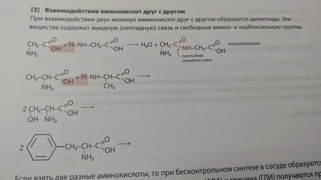 [3] Взаимодействие аминокислот друг с другом