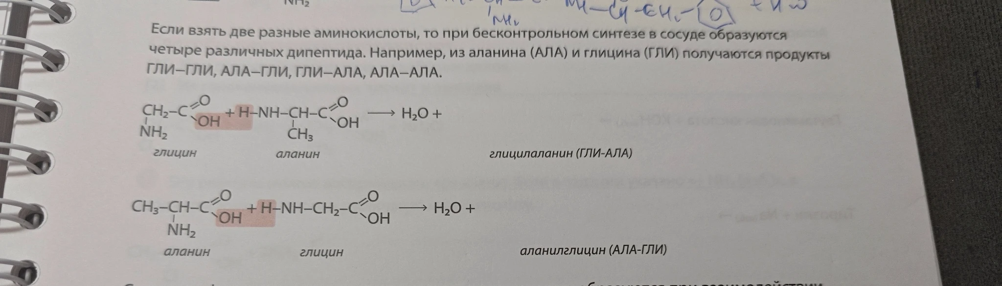 Если взять две разные аминокислоты, то при бесконтрольном синтезе в сосуде образуются четыре различных дипептида.