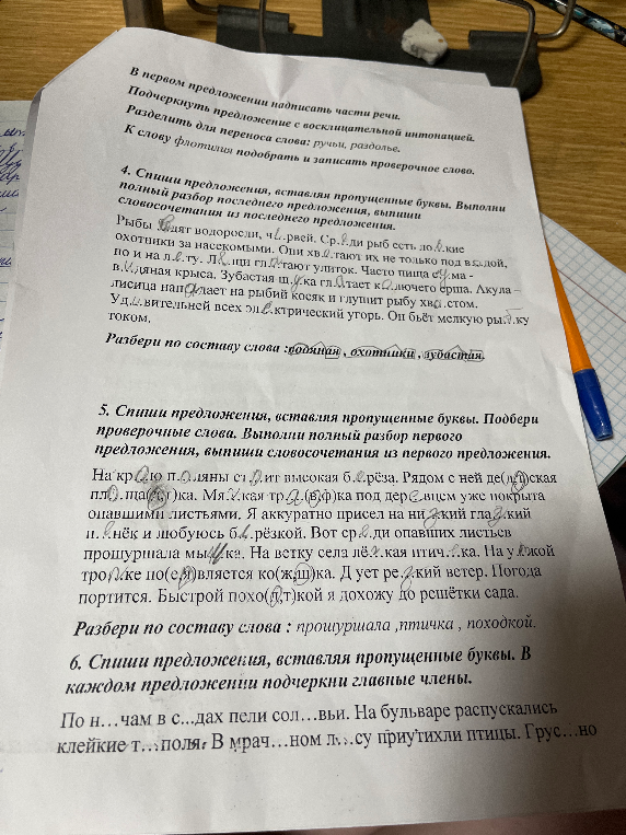 Допущение: Восстановлен текст и пропущенные буквы в предложениях для выполнения заданий 4, 5 и 6.
