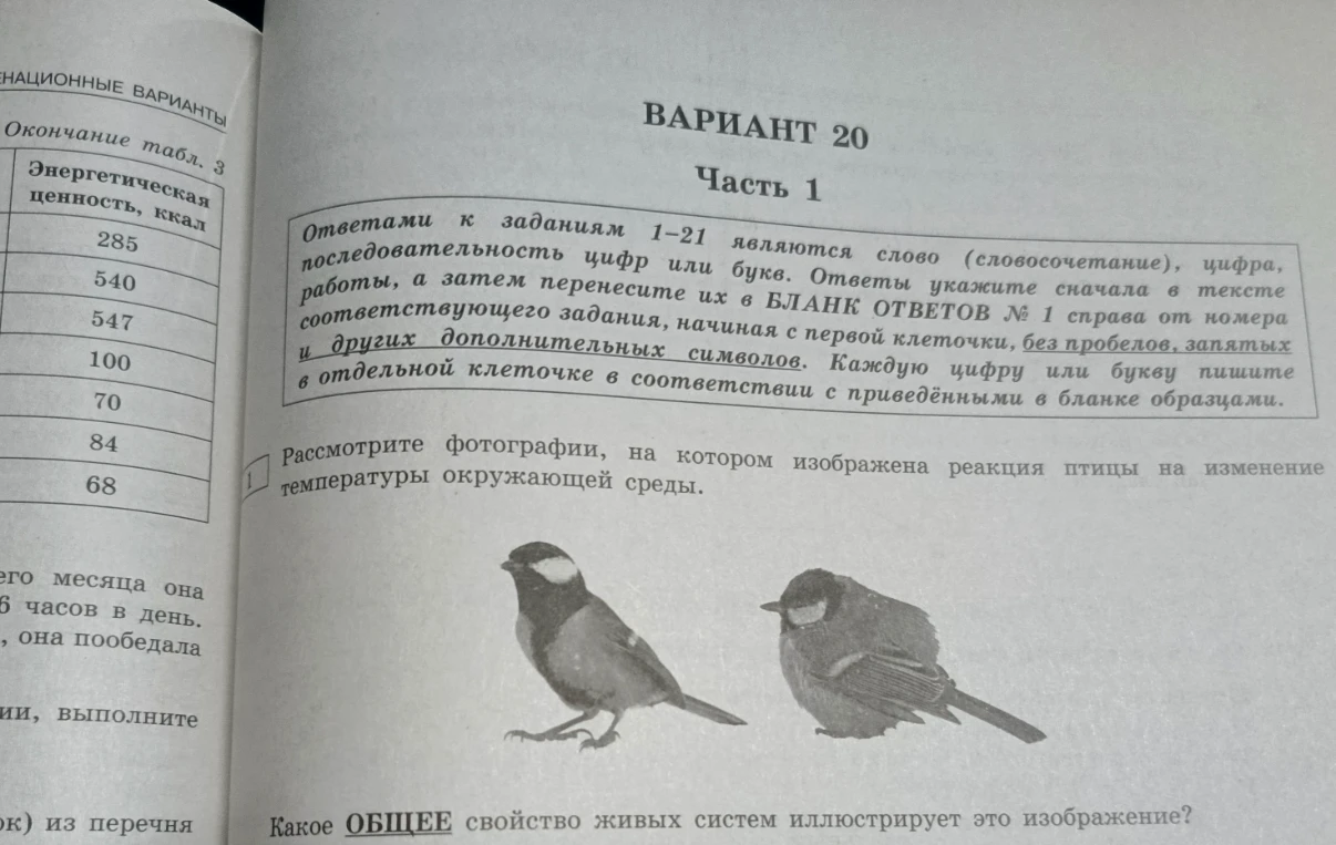 Рассмотрите фотографии, на котором изображена реакция птицы на изменение температуры окружающей среды. Какое ОБЩЕЕ свойство живых систем иллюстрирует это изображение?
