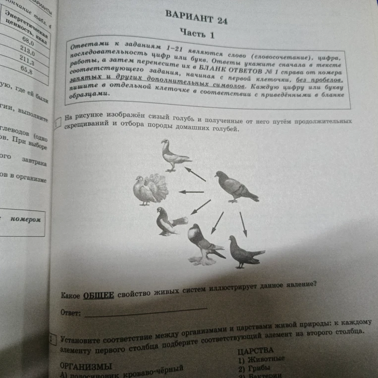 На рисунке изображён сизый голубь и полученные от него путём продолжительных скрещиваний и отбора породы домашних голубей. Какое ОБЩЕЕ свойство живых систем иллюстрирует данное явление?