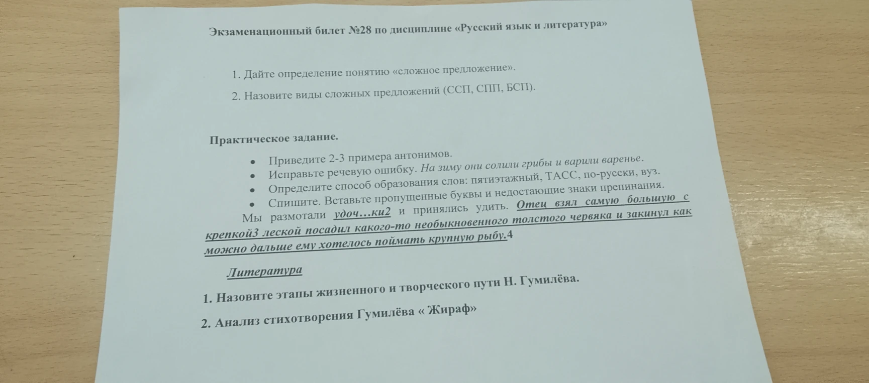 Экзаменационный билет №28 по дисциплине «Русский язык и литература»