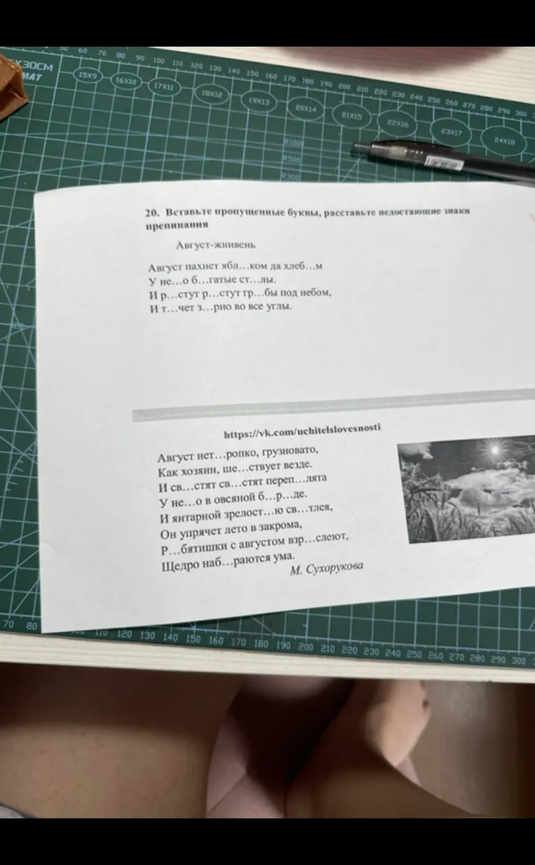 20. Вставьте пропущенные буквы, расставьте недостающие знаки препинания