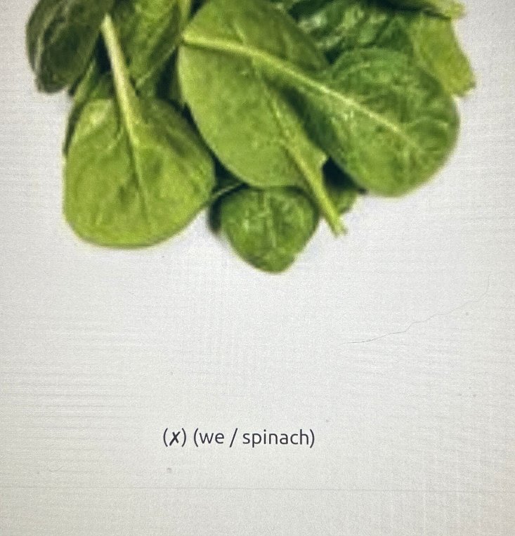 (x) (we / spinach)