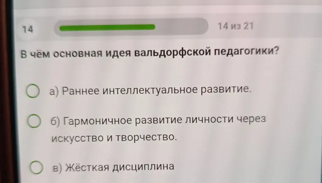 В чём основная идея вальдорфской педагогики?