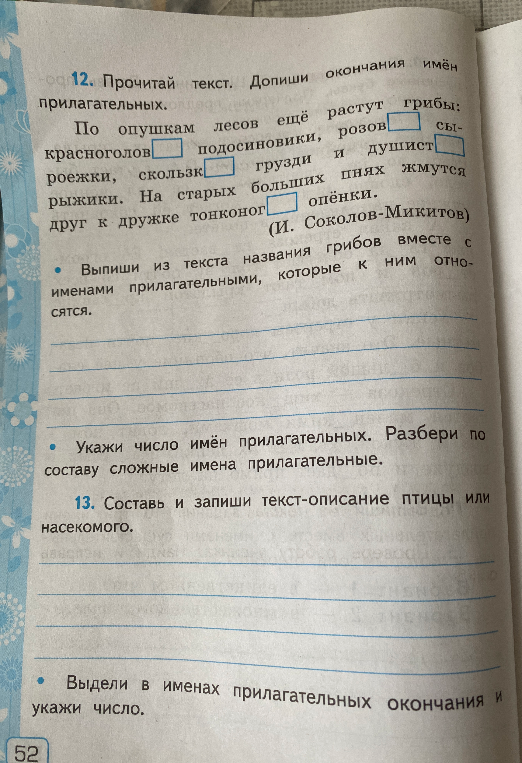 12. Прочитай текст. Допиши окончания имён прилагательных.