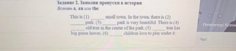 Задание 2. Заполни пропуски в истории. Вставь a, an или the.