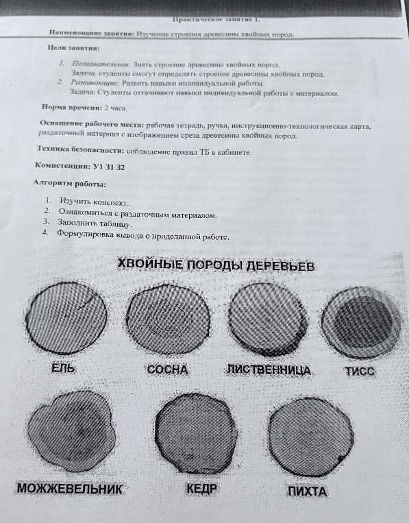 Практическое занятие 1. Наименование занятия: Изучение строения древесины хвойных пород.