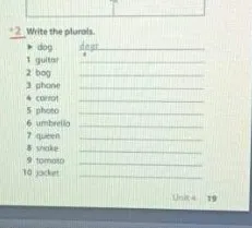 Write the plurals.