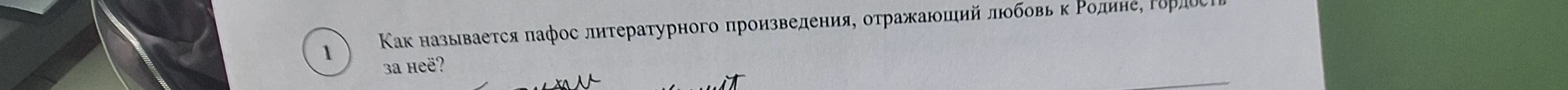 Как называется пафос литературного произведения, отражающий любовь к Родине, гордость за неё?