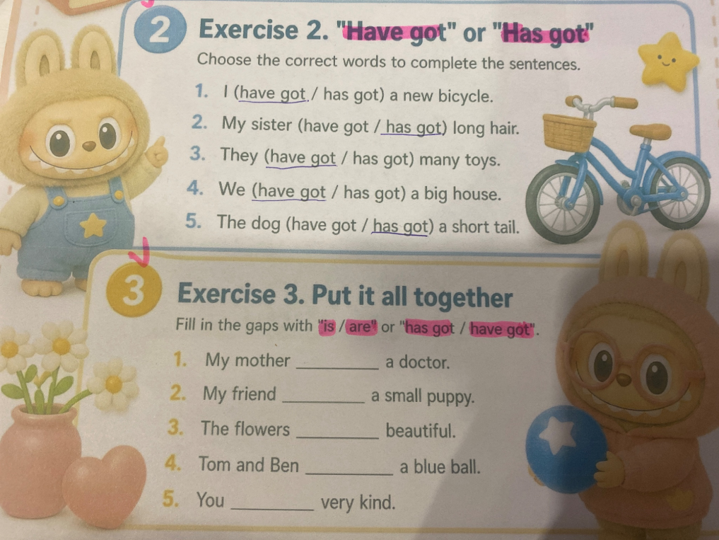 Exercise 2. "Have got" or "Has got" Choose the correct words to complete the sentences.