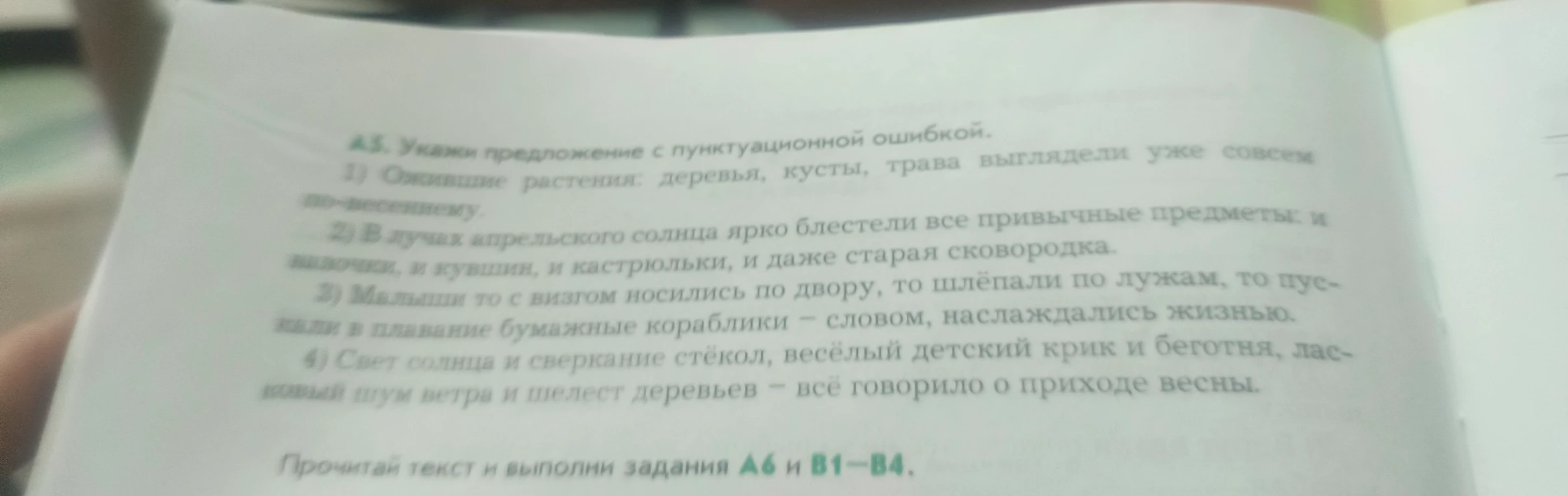 А5. Укажи предложение с пунктуационной ошибкой.