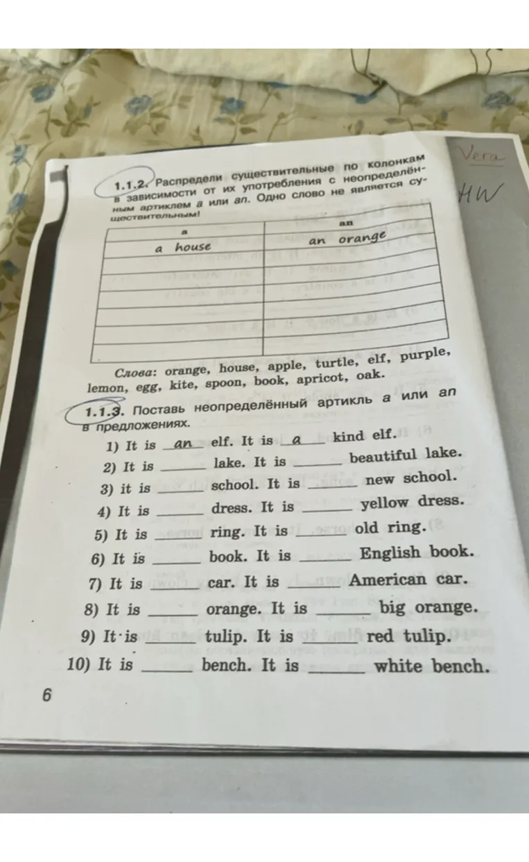 1.1.2. Распредели существительные по колонкам в зависимости от их употребления с неопределённым артиклем а или an.