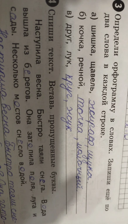 3. Определи орфограмму в словах. Запиши ещё по два слова в каждой строке. 4. Спиши текст. Вставь пропущенные буквы.