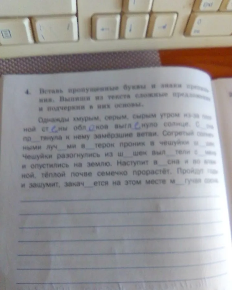 Вставь пропущенные буквы и знаки препинания. Выпиши из текста сложные предложения и подчеркни в них основы.