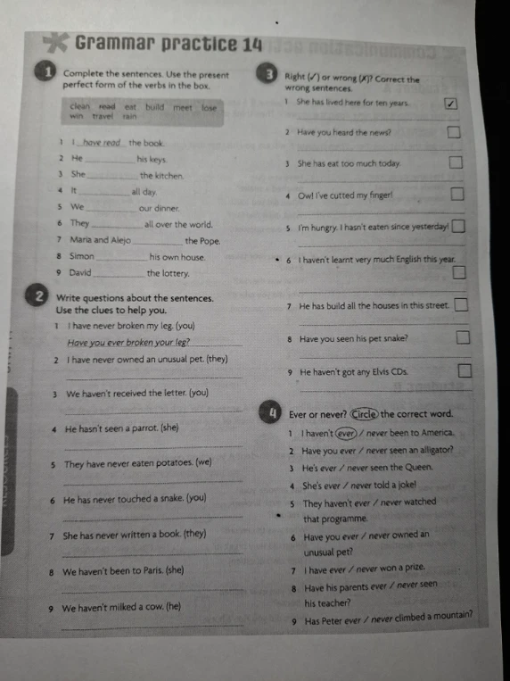 Complete the sentences. Use the present perfect form of the verbs in the box.