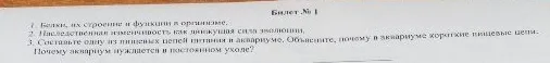 1. Белки, их строение и функции в организме. 2. Наследственная изменчивость как движущая сила эволюции. 3. Составьте одну из пищевых цепей питания в аквариуме. Объясните, почему в аквариуме короткие пищевые цепи. Почему аквариум нуждается в постоянном уходе?