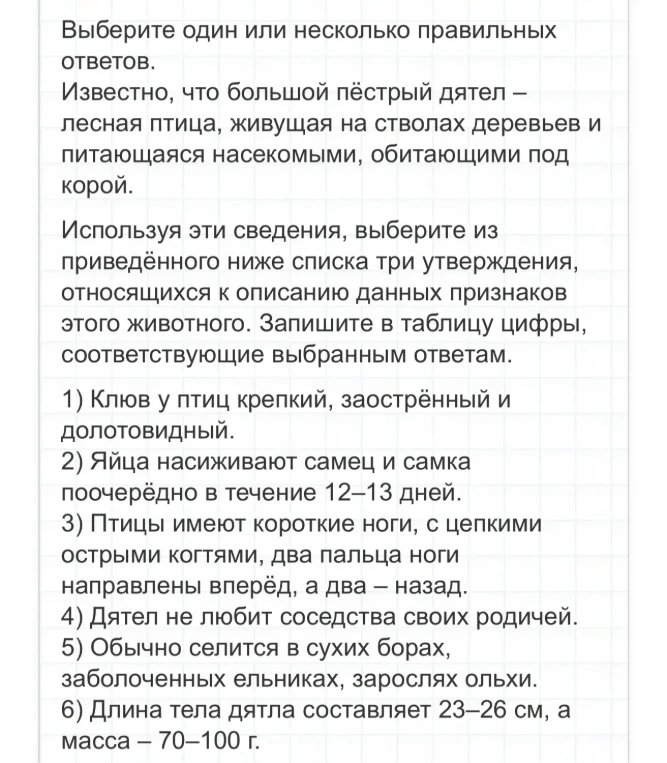 Известно, что большой пёстрый дятел – лесная птица, живущая на стволах деревьев и питающаяся насекомыми, обитающими под корой.