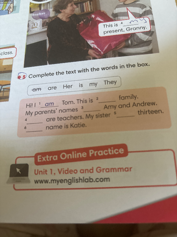 Complete the text with the words in the box.