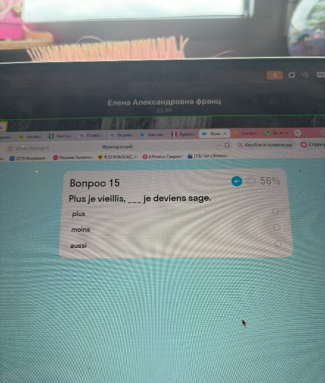 Plus je vieillis, ___ je deviens sage.